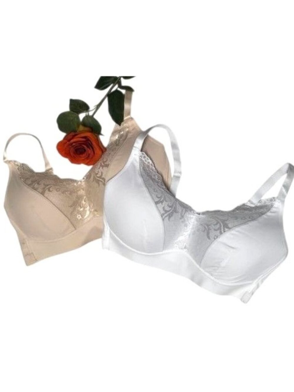 Rhonda Shear Molded Cup Lace Bra with Invisible Edge 2 Pack LARGE